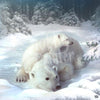 Diamond Painting IJsberen in de sneeuw voorbeeld Hobby Painter