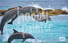 Schilderen op nummer 4 springende dolfijnen