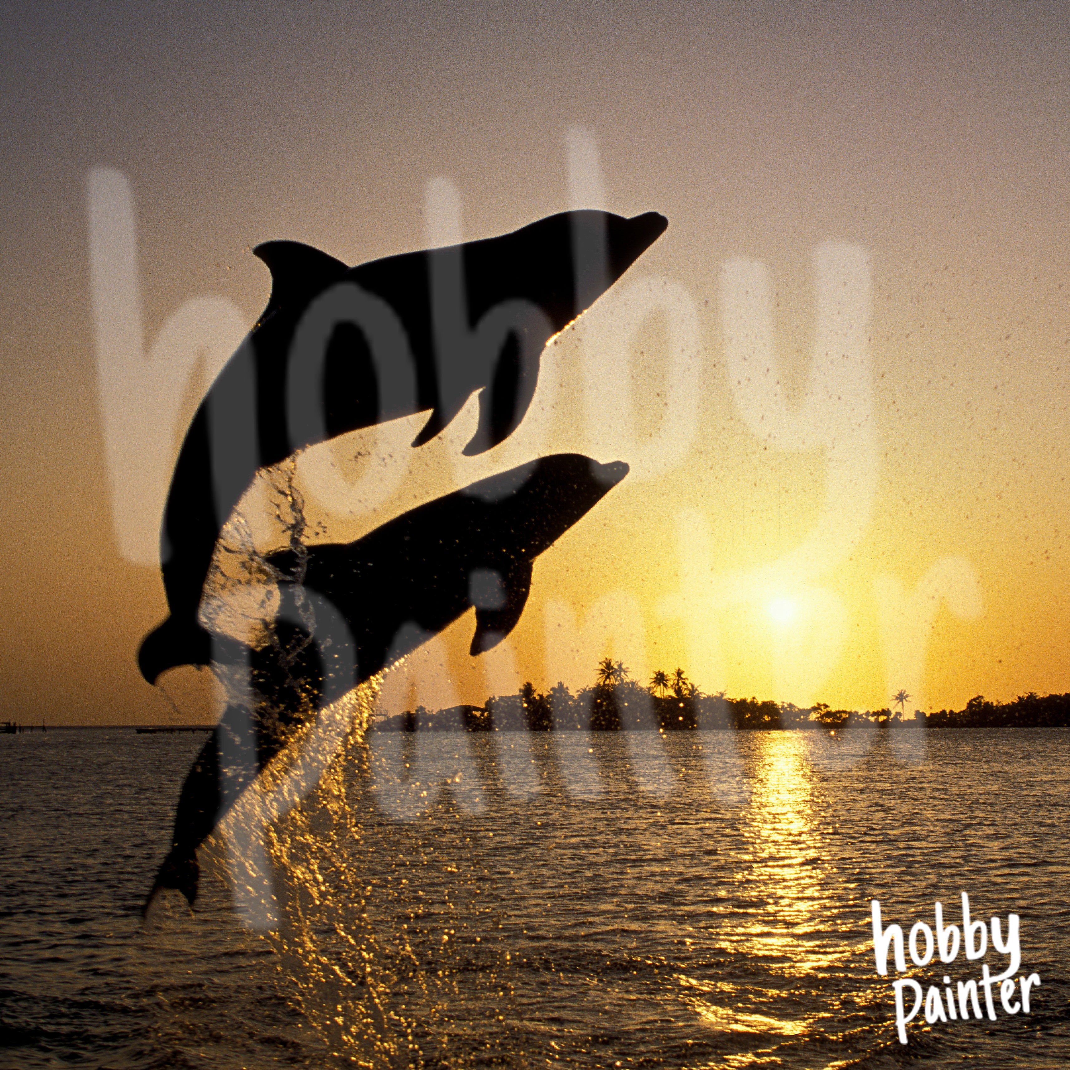 Schilderen op nummer Dolfijnen bij zonsondergang