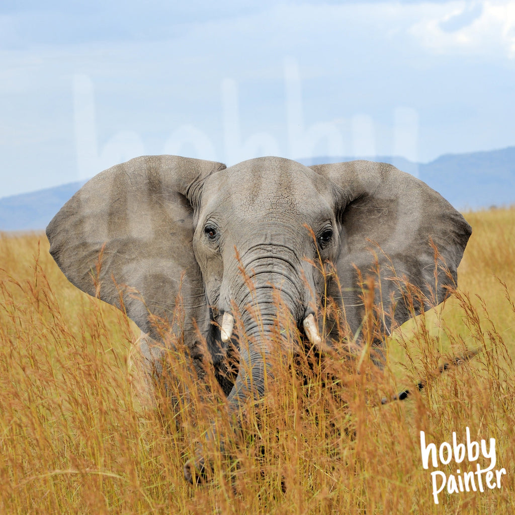 Schilderen op nummer Olifant in het gras-Hobby Painter