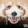 Diamond Painting Rode panda close-up