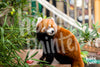 Afbeelding laden in Galerijviewer, Diamond Painting Zittende Rode Panda