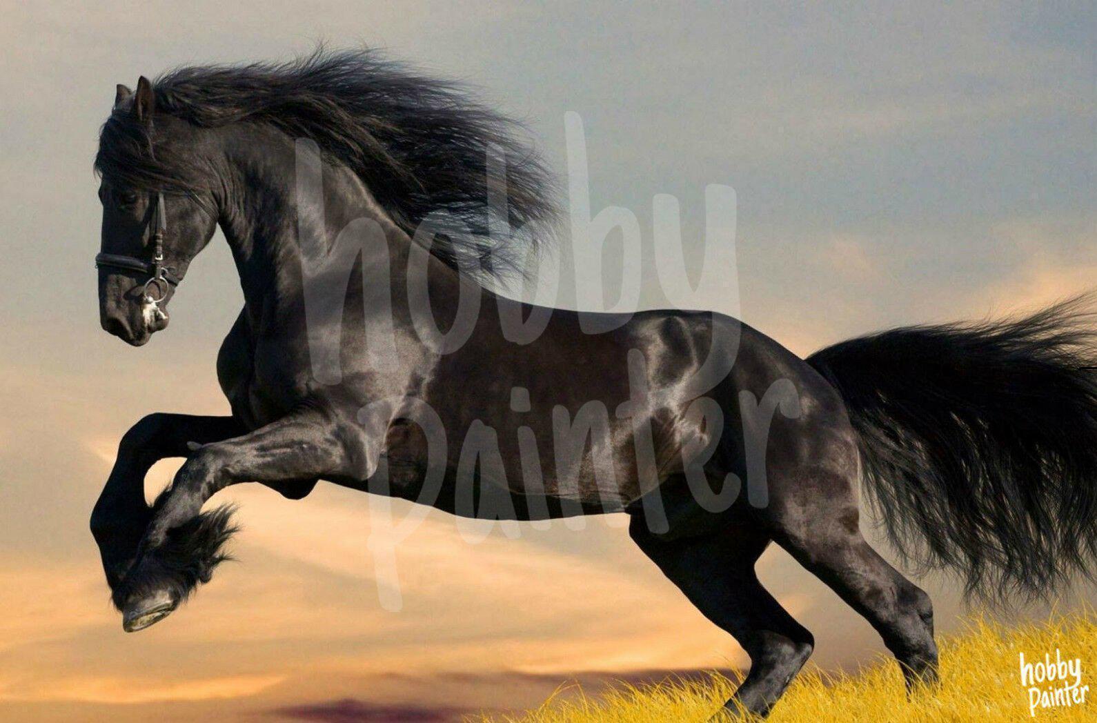 Diamond Painting Fries paard voorbeeld Hobby Painter