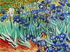 Diamond Painting Irissen voorbeeld Hobby Painter