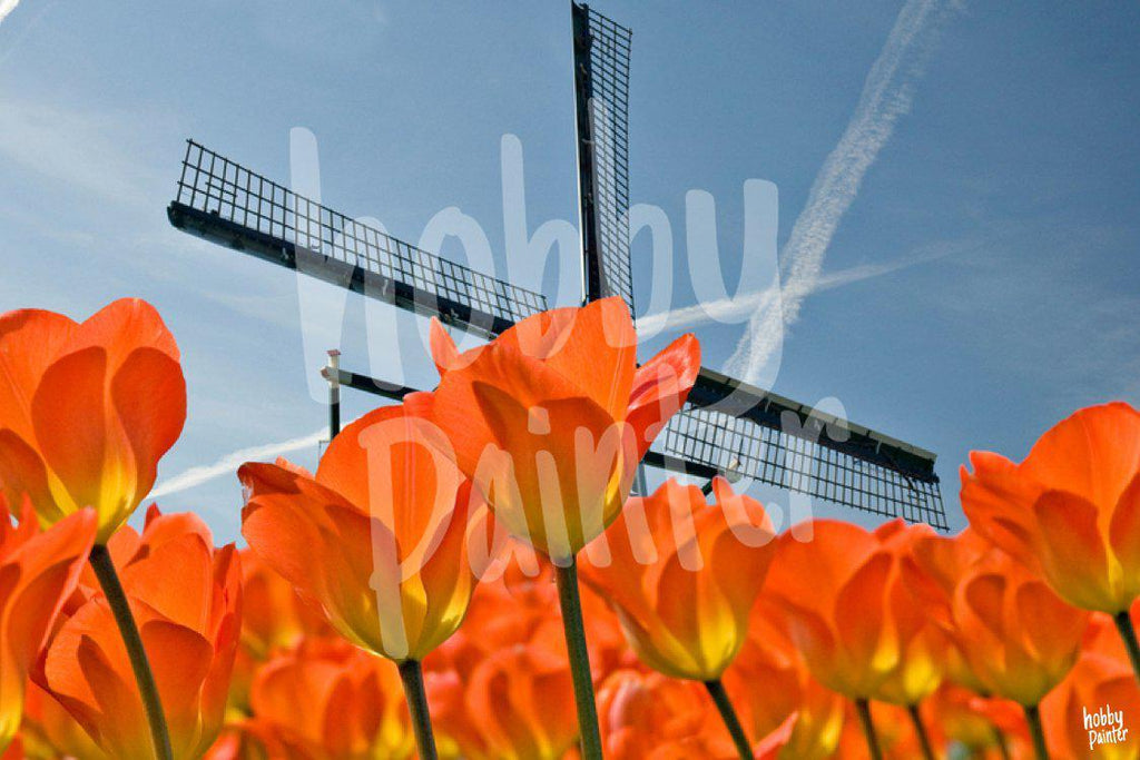 Diamond Painting Oranje tulpen voorbeeld Hobby Painter