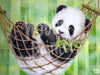 Diamond Painting Panda baby voorbeeld Hobby Painter