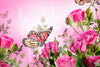 Afbeelding laden in Galerijviewer, Diamond Painting Rozen met vlinder voorbeeld Hobby Painter