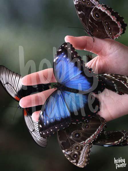 Diamond Painting Vlinder op hand voorbeeld Hobby Painter