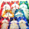 Schilderen op nummer Crazy cats voorbeeld Hobby Painter