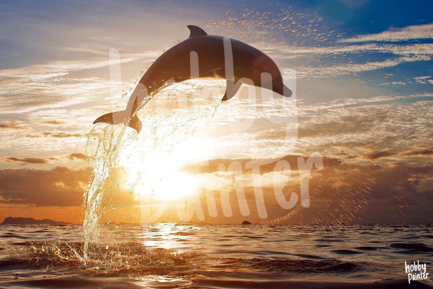 Schilderen op nummer Dolfijn zonsondergang voorbeeld Hobby Painter