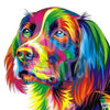 Schilderen op nummer Gekleurde hond voorbeeld Hobby Painter