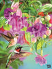 Schilderen op nummer Humingbirds voorbeeld Hobby Painter