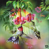Schilderen op nummer Hummingbird in tuin voorbeeld Hobby Painter