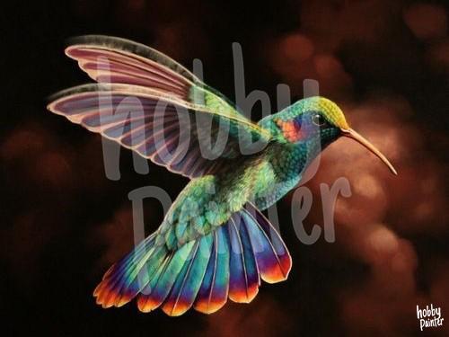 Schilderen op nummer Hummingbird voorbeeld Hobby Painter