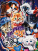 Schilderen op nummer Katten voorbeeld Hobby Painter