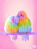 Schilderen op nummer Love birds (90) voorbeeld Hobby Painter