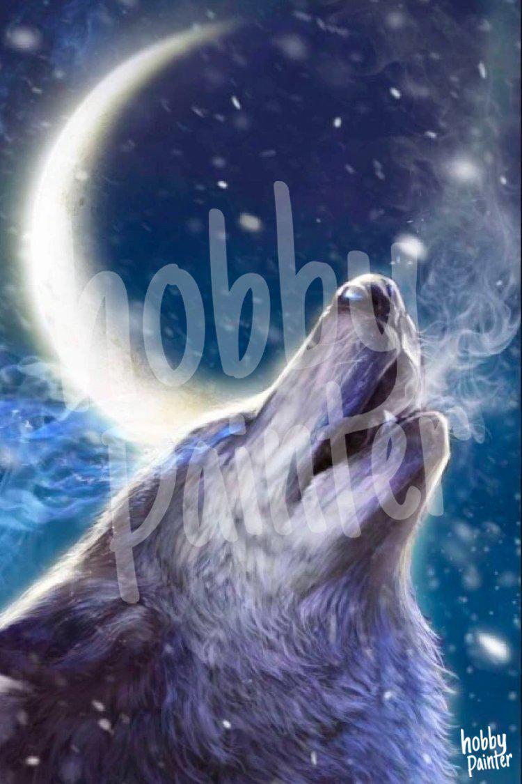 Schilderen op nummer Midnight wolf voorbeeld Hobby Painter
