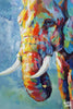 Schilderen op nummer Olifant in kleur voorbeeld Hobby Painter