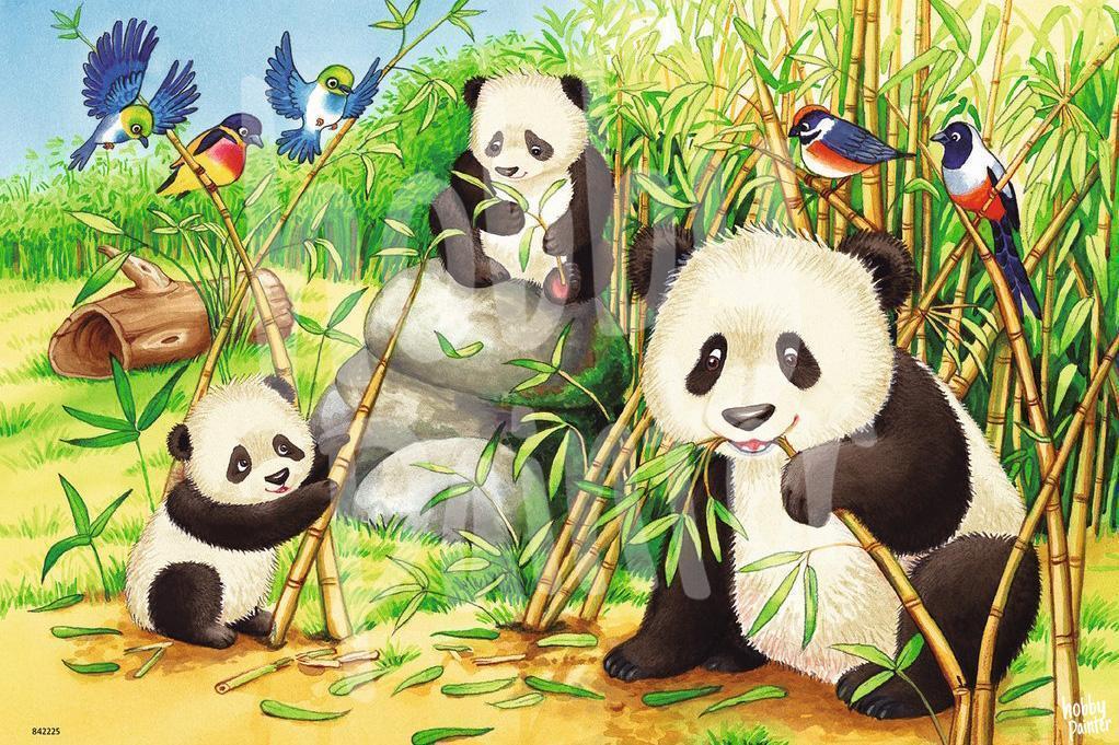 RICUVED Panda Malen Nach Zahlen ab 5 6 7 Jahre Mädchen und Junge,Tiere Malen Nach Zahlen für Kinder mit Rahmen 3 Pinsel und Acrylfarben 20x30cm RICUVED Panda Malen Nach Zahlen ab 5 6 7 Jahre Mädchen und Junge,Tiere Malen Nach Zahlen für Kinder mit Rahmen 3 Pinsel und Acrylfarben 20x30cm