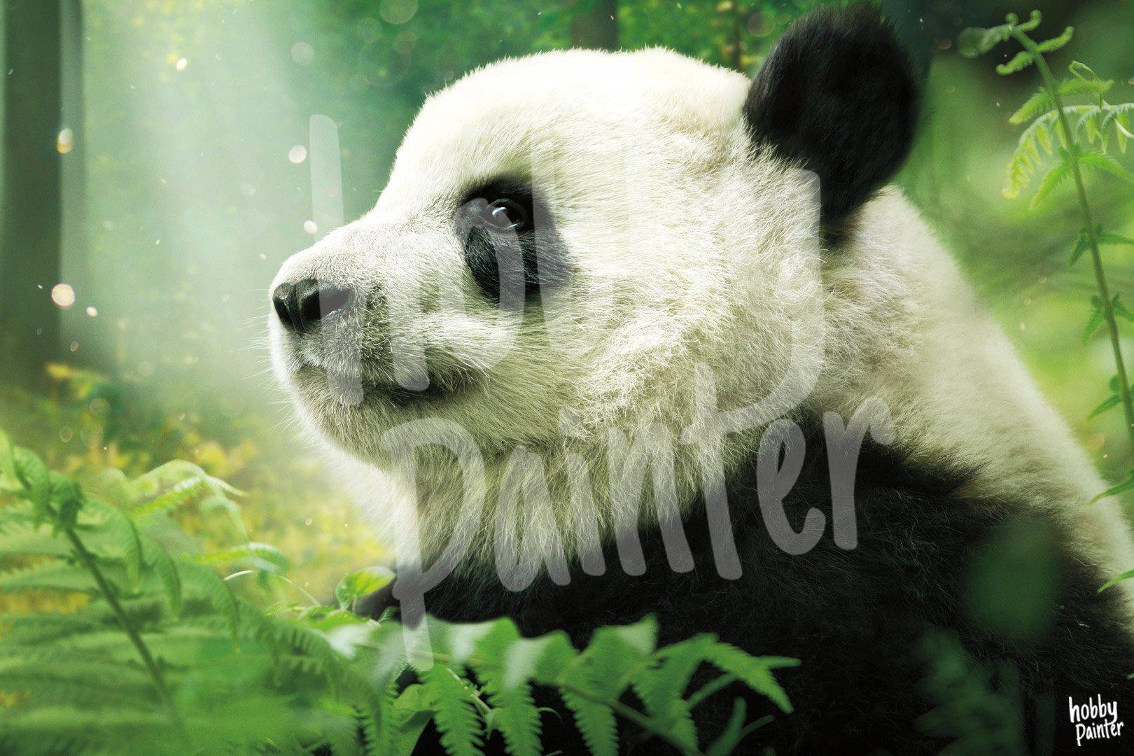 Schilderen op nummer Panda voorbeeld Hobby Painter