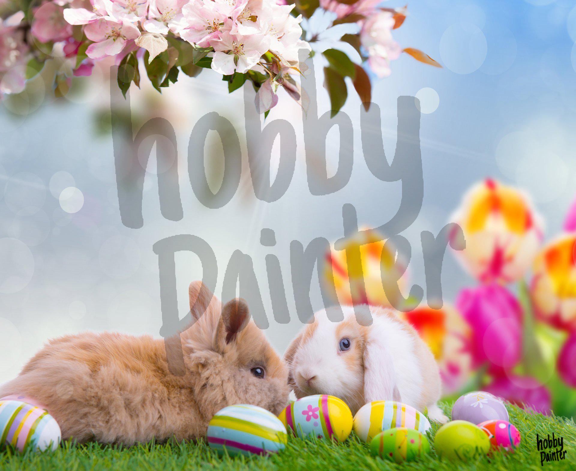 Schilderen op nummer Vakantie konijntjes voorbeeld Hobby Painter