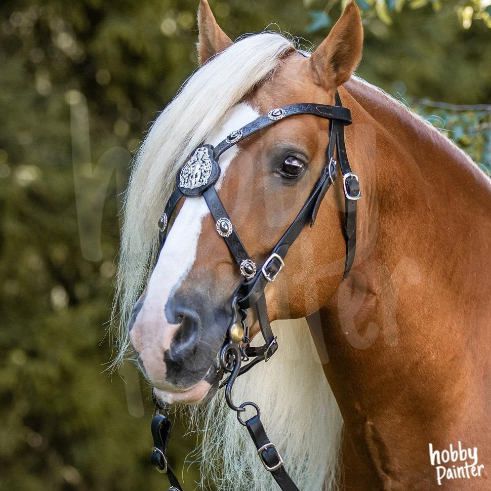 Schilderen op nummer Western paard voorbeeld Hobby Painter